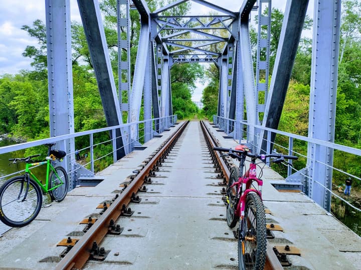 Парк «Дубовый Гай» («Дубовка») в Запорожье — Панорама дорожки